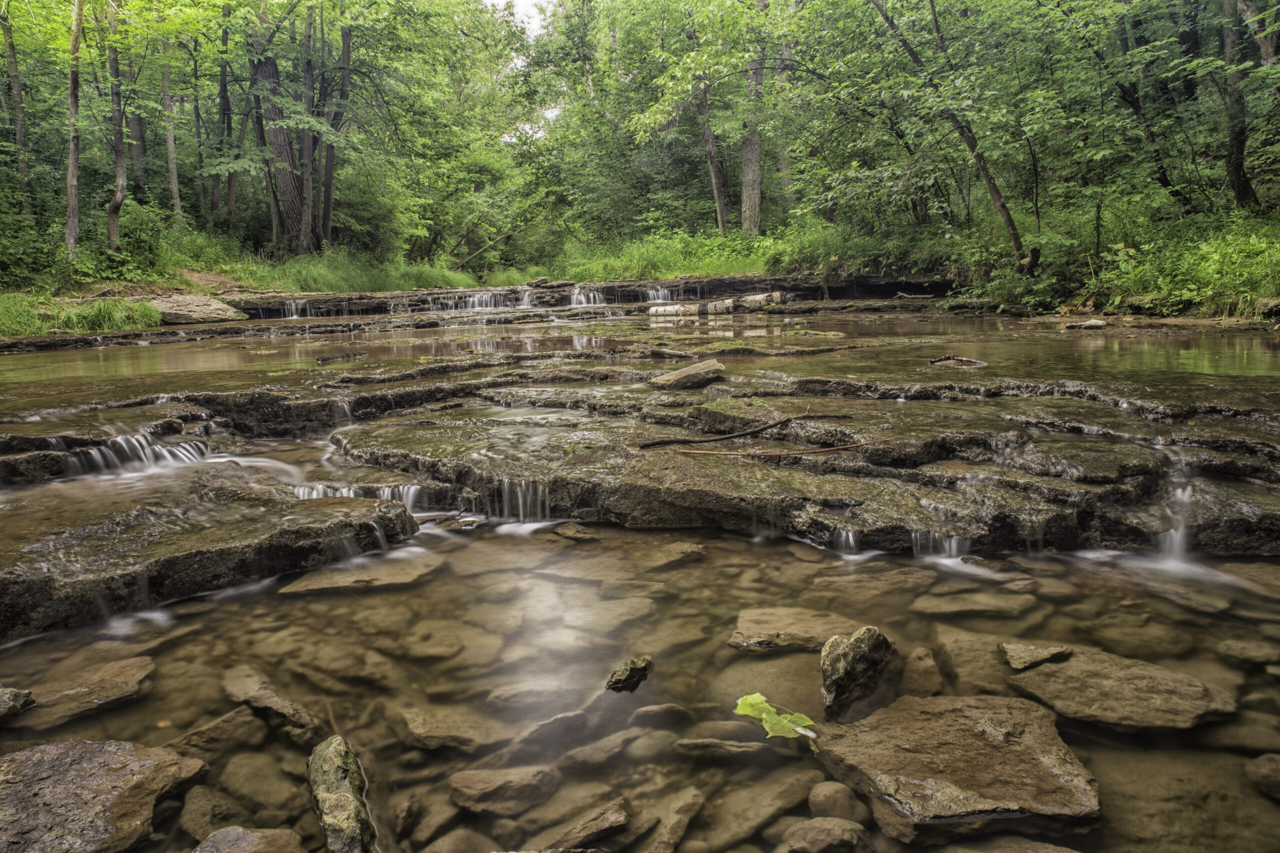 Historic Baird Creek Greenway